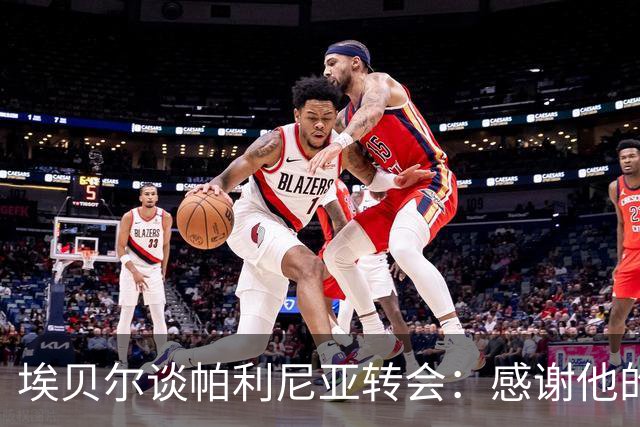 埃贝尔谈帕利尼亚转会：感谢他的贡献与祝福未来